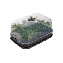 green basics anzuchtset m living schwarz